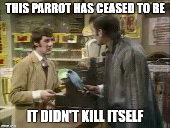 Dead parrot didn't kill itself | THIS PARROT HAS CEASED TO BE; IT DIDN'T KILL ITSELF | image tagged in funny memes | made w/ Imgflip meme maker