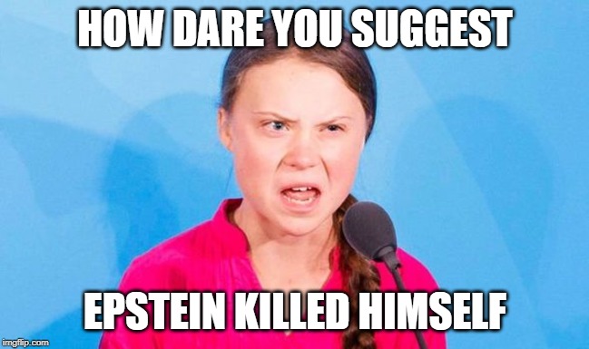 How dare you | HOW DARE YOU SUGGEST; EPSTEIN KILLED HIMSELF | image tagged in funny memes,greta thunberg how dare you | made w/ Imgflip meme maker