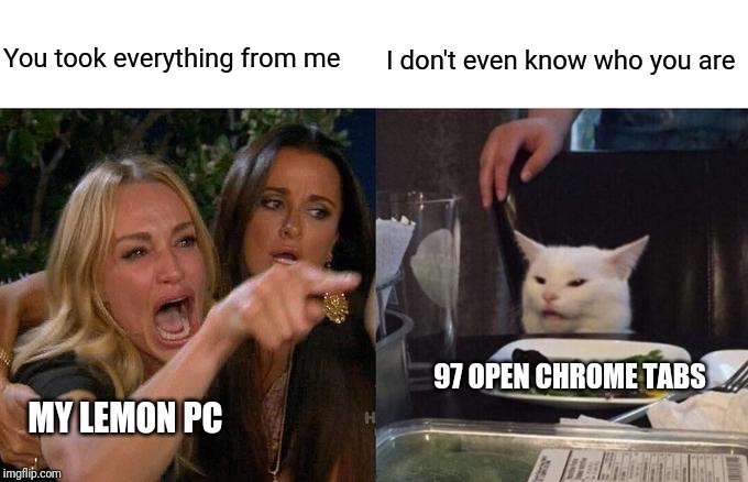 Woman Yelling At Cat Meme | You took everything from me; I don't even know who you are; 97 OPEN CHROME TABS; MY LEMON PC | image tagged in memes,woman yelling at cat | made w/ Imgflip meme maker