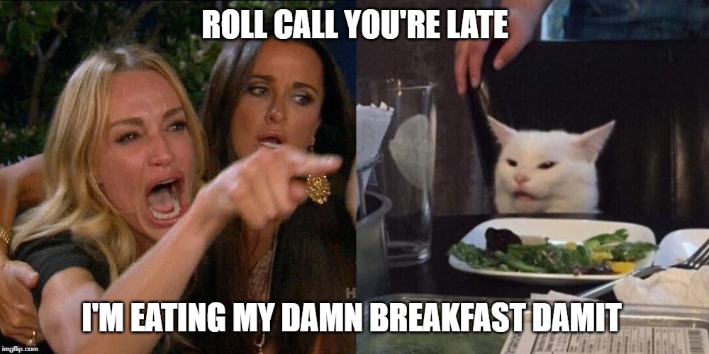 Woman yelling at cat | ROLL CALL YOU'RE LATE; I'M EATING MY DAMN BREAKFAST DAMIT | image tagged in woman yelling at cat | made w/ Imgflip meme maker