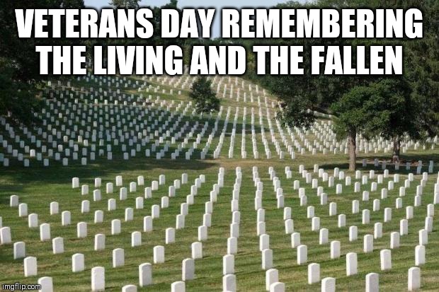 Fallen Soldiers | VETERANS DAY REMEMBERING THE LIVING AND THE FALLEN | image tagged in fallen soldiers | made w/ Imgflip meme maker