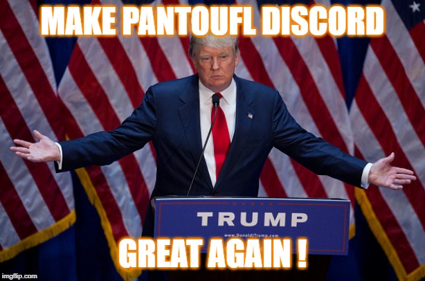 Donald Trump | MAKE PANTOUFL DISCORD; GREAT AGAIN ! | image tagged in donald trump | made w/ Imgflip meme maker