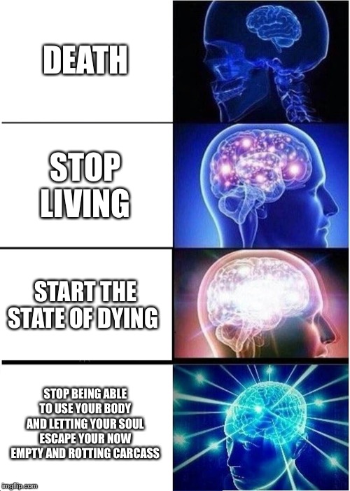 Expanding Brain Meme | DEATH; STOP LIVING; START THE STATE OF DYING; STOP BEING ABLE TO USE YOUR BODY AND LETTING YOUR SOUL ESCAPE YOUR NOW EMPTY AND ROTTING CARCASS | image tagged in memes,expanding brain | made w/ Imgflip meme maker