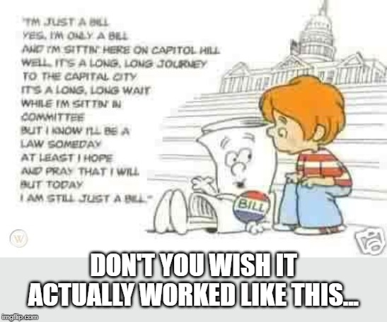 I'm Just a Bill | DON'T YOU WISH IT ACTUALLY WORKED LIKE THIS... | image tagged in schoolhouse rock | made w/ Imgflip meme maker