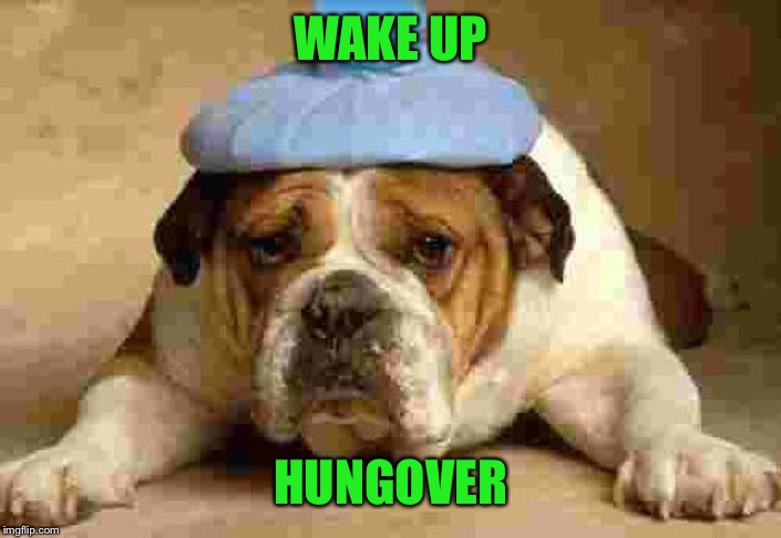 WAKE UP HUNGOVER | made w/ Imgflip meme maker