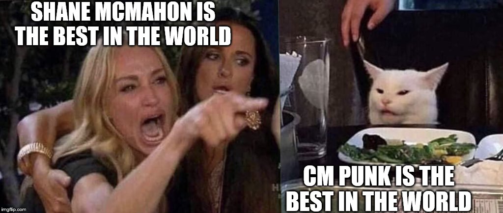 Who's the BEST IN THE WORLD? | SHANE MCMAHON IS THE BEST IN THE WORLD; CM PUNK IS THE BEST IN THE WORLD | image tagged in woman yelling at cat,cm punk,shane mcmahon | made w/ Imgflip meme maker
