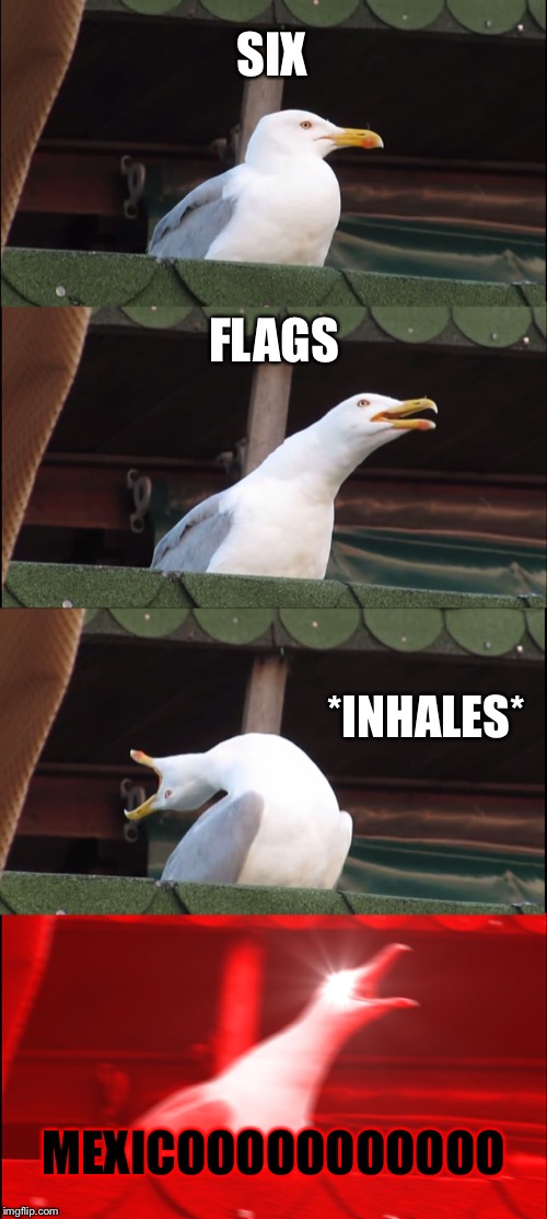 Inhaling Seagull Meme | SIX FLAGS *INHALES* MEXICOOOOOOOOOOO | image tagged in memes,inhaling seagull | made w/ Imgflip meme maker