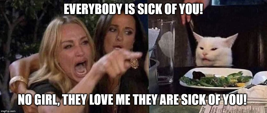 woman yelling at cat | EVERYBODY IS SICK OF YOU! NO GIRL, THEY LOVE ME THEY ARE SICK OF YOU! | image tagged in woman yelling at cat | made w/ Imgflip meme maker