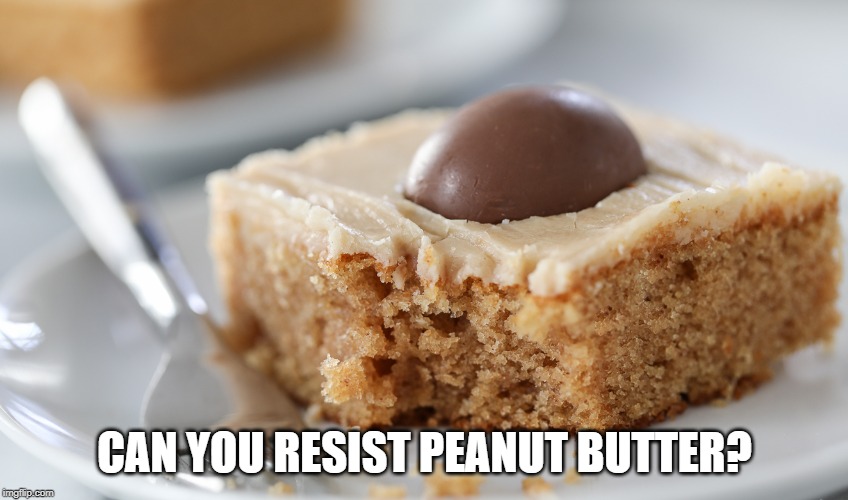 Peanut Butter Orgasm | CAN YOU RESIST PEANUT BUTTER? | image tagged in dessert | made w/ Imgflip meme maker