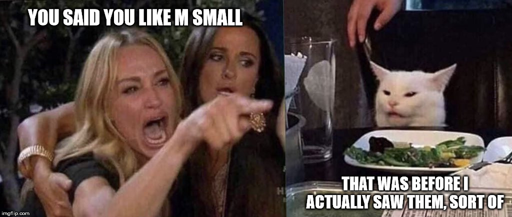 woman yelling at cat | YOU SAID YOU LIKE M SMALL; THAT WAS BEFORE I ACTUALLY SAW THEM, SORT OF | image tagged in woman yelling at cat | made w/ Imgflip meme maker