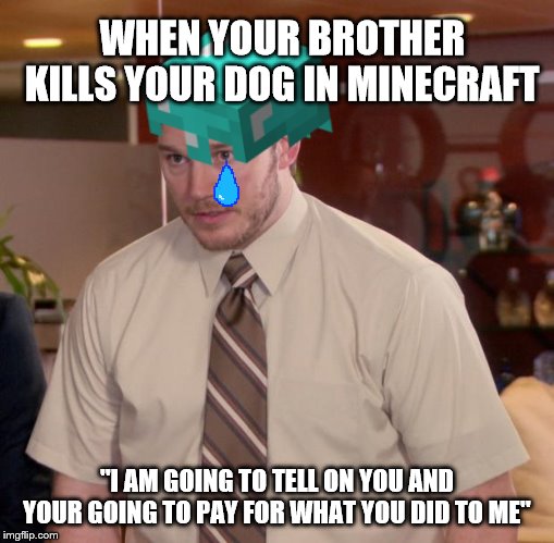 R.I.P old friend | WHEN YOUR BROTHER KILLS YOUR DOG IN MINECRAFT; "I AM GOING TO TELL ON YOU AND YOUR GOING TO PAY FOR WHAT YOU DID TO ME" | image tagged in minecraft,doggo | made w/ Imgflip meme maker