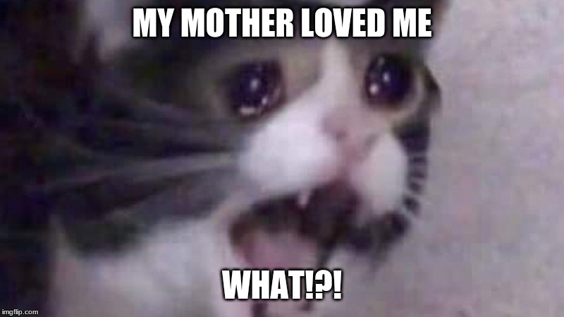 MY MOTHER LOVED ME; WHAT!?! | image tagged in cats,cat memes | made w/ Imgflip meme maker