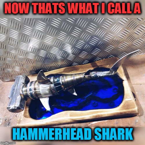 metal rt | NOW THATS WHAT I CALL A; HAMMERHEAD SHARK | image tagged in hammerhead,shark,art,metal | made w/ Imgflip meme maker