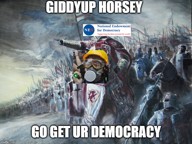 Crusader | GIDDYUP HORSEY; GO GET UR DEMOCRACY | image tagged in crusader,hong kong,rioter,ned,democracy | made w/ Imgflip meme maker