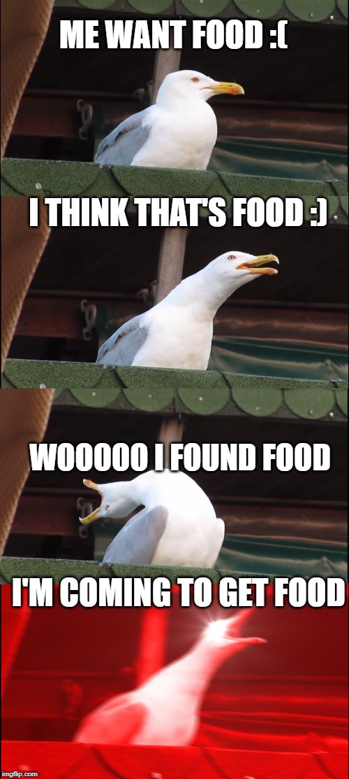 Inhaling Seagull | ME WANT FOOD :(; I THINK THAT'S FOOD :); WOOOOO I FOUND FOOD; I'M COMING TO GET FOOD | image tagged in memes,inhaling seagull | made w/ Imgflip meme maker