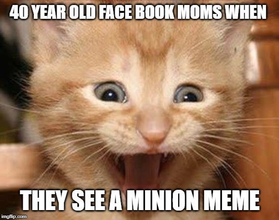 Excited Cat Meme | 40 YEAR OLD FACE BOOK MOMS WHEN; THEY SEE A MINION MEME | image tagged in memes,excited cat | made w/ Imgflip meme maker