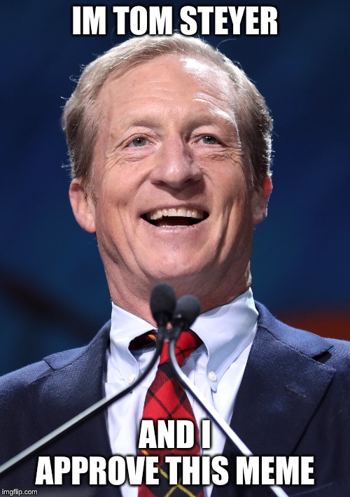 IM TOM STEYER; AND I APPROVE THIS MEME | image tagged in politics | made w/ Imgflip meme maker