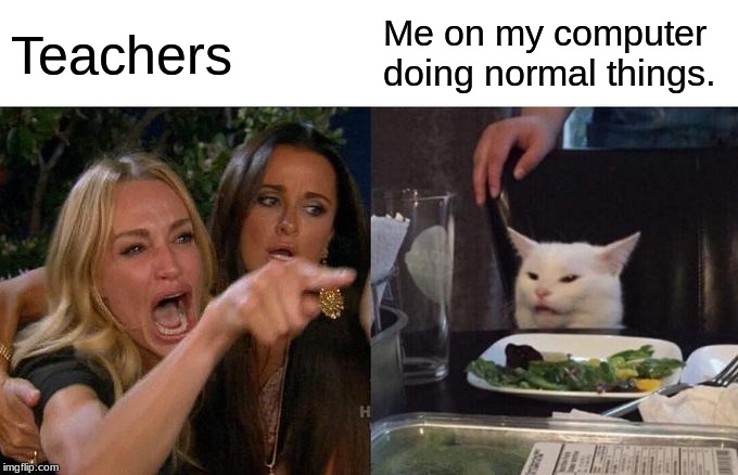 Woman Yelling At Cat | Teachers; Me on my computer doing normal things. | image tagged in memes,woman yelling at cat | made w/ Imgflip meme maker