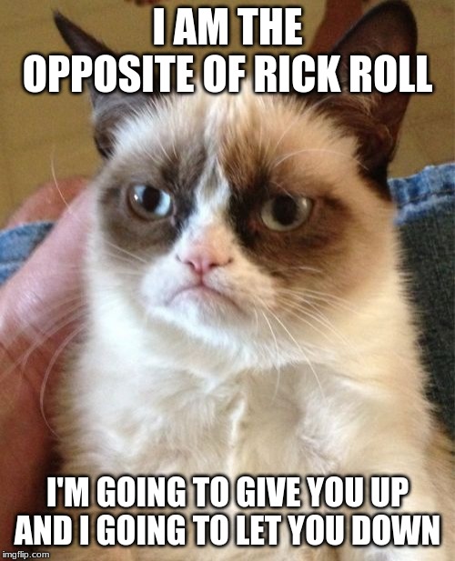 Grumpy Cat Meme |  I AM THE OPPOSITE OF RICK ROLL; I'M GOING TO GIVE YOU UP AND I GOING TO LET YOU DOWN | image tagged in memes,grumpy cat | made w/ Imgflip meme maker