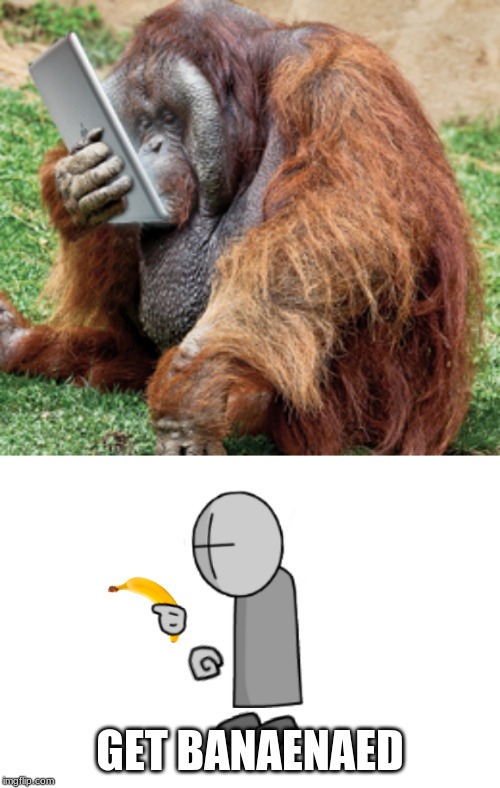  GET BANAENAED | image tagged in orangutan,ba-nae-naed | made w/ Imgflip meme maker