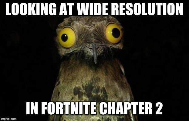 Weird Stuff I Do Potoo | LOOKING AT WIDE RESOLUTION; IN FORTNITE CHAPTER 2 | image tagged in memes,weird stuff i do potoo | made w/ Imgflip meme maker