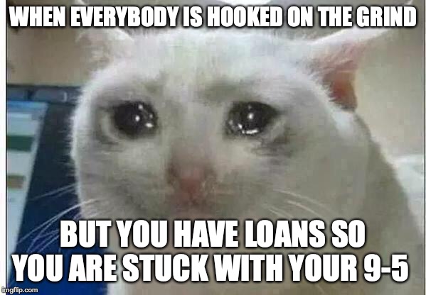 crying cat |  WHEN EVERYBODY IS HOOKED ON THE GRIND; BUT YOU HAVE LOANS SO YOU ARE STUCK WITH YOUR 9-5 | image tagged in crying cat | made w/ Imgflip meme maker
