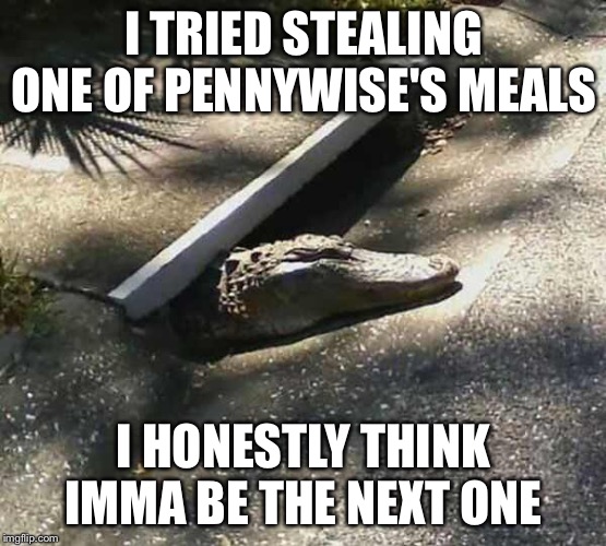 Alligatot from the sewer | I TRIED STEALING ONE OF PENNYWISE'S MEALS; I HONESTLY THINK IMMA BE THE NEXT ONE | image tagged in alligatot from the sewer | made w/ Imgflip meme maker
