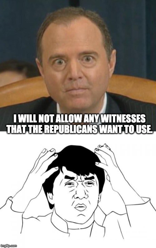 I WILL NOT ALLOW ANY WITNESSES THAT THE REPUBLICANS WANT TO USE. | image tagged in memes,jackie chan wtf,adam shifty schiff | made w/ Imgflip meme maker