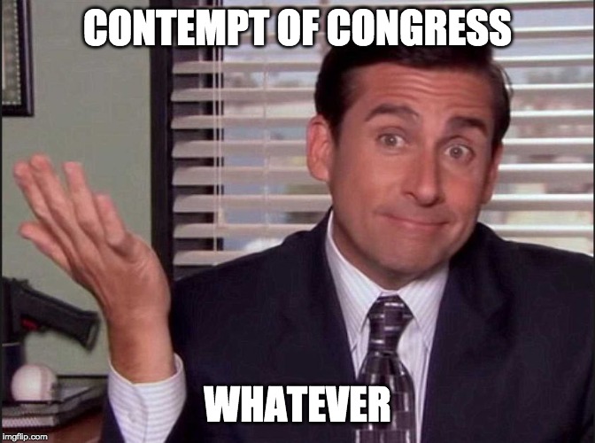 Michael Scott | CONTEMPT OF CONGRESS WHATEVER | image tagged in michael scott | made w/ Imgflip meme maker