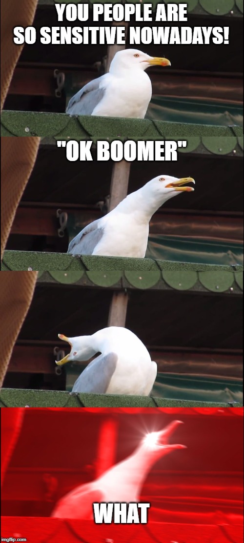 Inhaling Seagull | YOU PEOPLE ARE SO SENSITIVE NOWADAYS! "OK BOOMER"; WHAT | image tagged in memes,inhaling seagull | made w/ Imgflip meme maker
