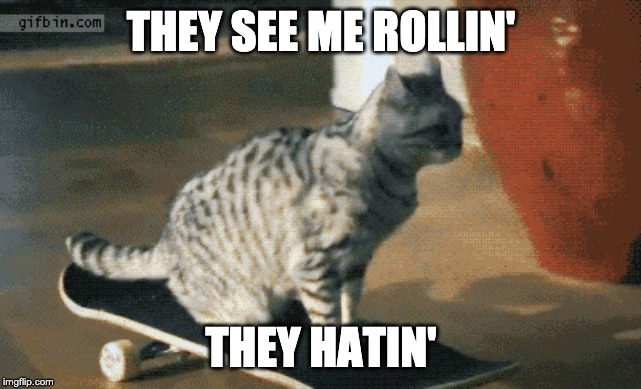 They See Me Rollin' | THEY SEE ME ROLLIN'; THEY HATIN' | image tagged in cats | made w/ Imgflip meme maker