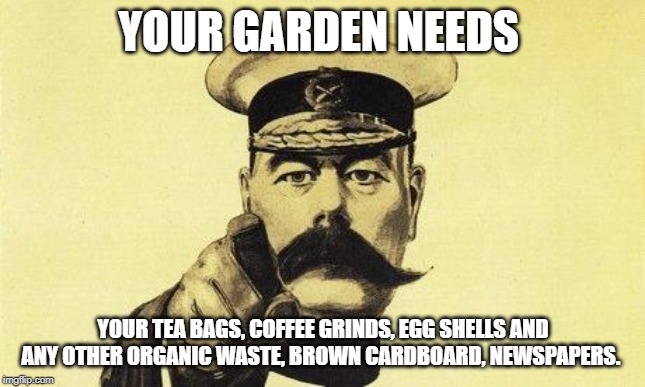 lord kitchener | YOUR GARDEN NEEDS; YOUR TEA BAGS, COFFEE GRINDS, EGG SHELLS AND ANY OTHER ORGANIC WASTE, BROWN CARDBOARD, NEWSPAPERS. | image tagged in lord kitchener | made w/ Imgflip meme maker