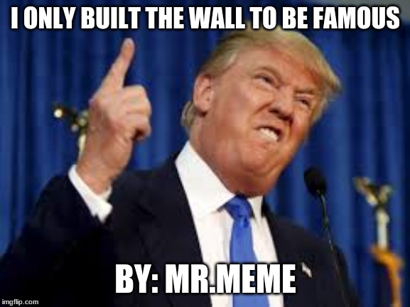 Donlad trump | I ONLY BUILT THE WALL TO BE FAMOUS; BY: MR.MEME | image tagged in donlad trump | made w/ Imgflip meme maker