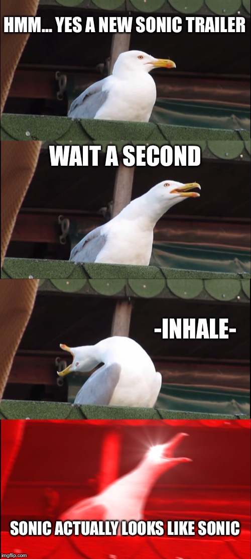 Inhaling Seagull | HMM... YES A NEW SONIC TRAILER; WAIT A SECOND; -INHALE-; SONIC ACTUALLY LOOKS LIKE SONIC | image tagged in memes,inhaling seagull | made w/ Imgflip meme maker