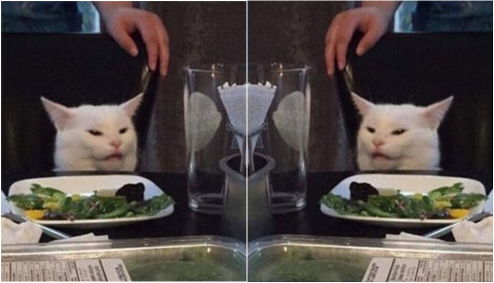 Angry Cat At Table Restaurant Meme - jetartdesign