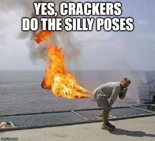 Fart | YES, CRACKERS DO THE SILLY POSES | image tagged in fart | made w/ Imgflip meme maker