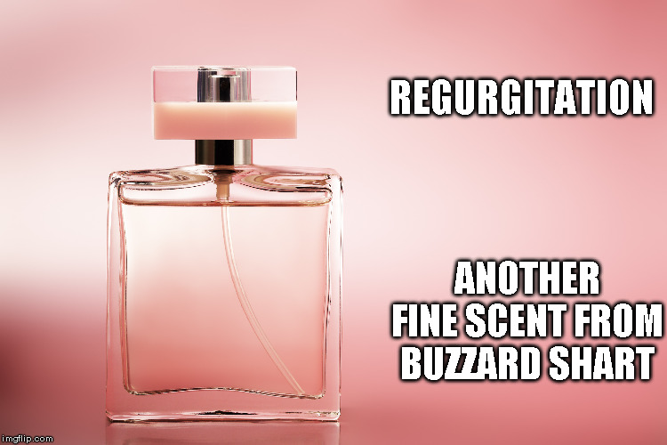 New Scent for the Holidaze | REGURGITATION; ANOTHER FINE SCENT FROM BUZZARD SHART | image tagged in meme,gross | made w/ Imgflip meme maker
