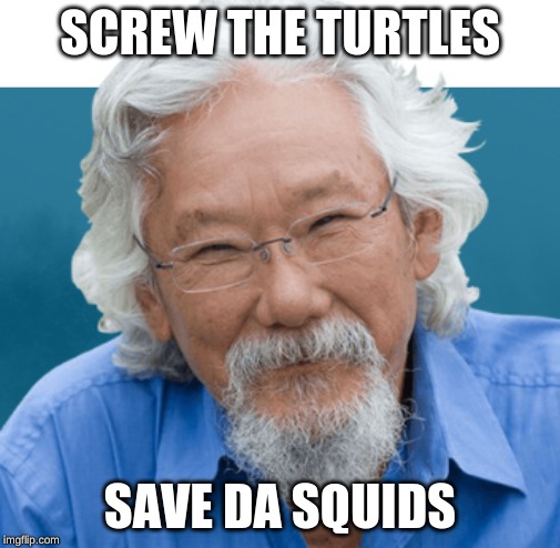 Save the Squids | SCREW THE TURTLES; SAVE DA SQUIDS | image tagged in vsco,funny,save the squids | made w/ Imgflip meme maker