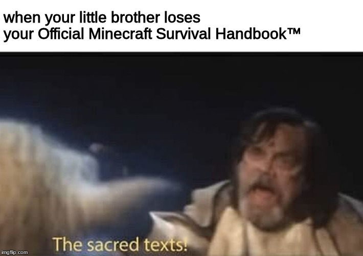 The sacred texts | when your little brother loses your Official Minecraft Survival Handbook™ | image tagged in the sacred texts | made w/ Imgflip meme maker