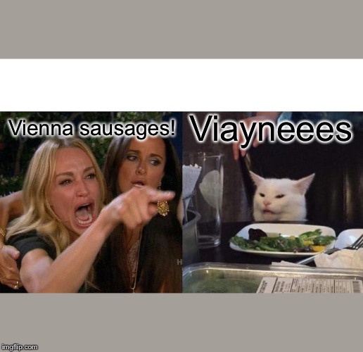 Woman Yelling At Cat | Vienna sausages! Viayneees | image tagged in memes,woman yelling at cat | made w/ Imgflip meme maker