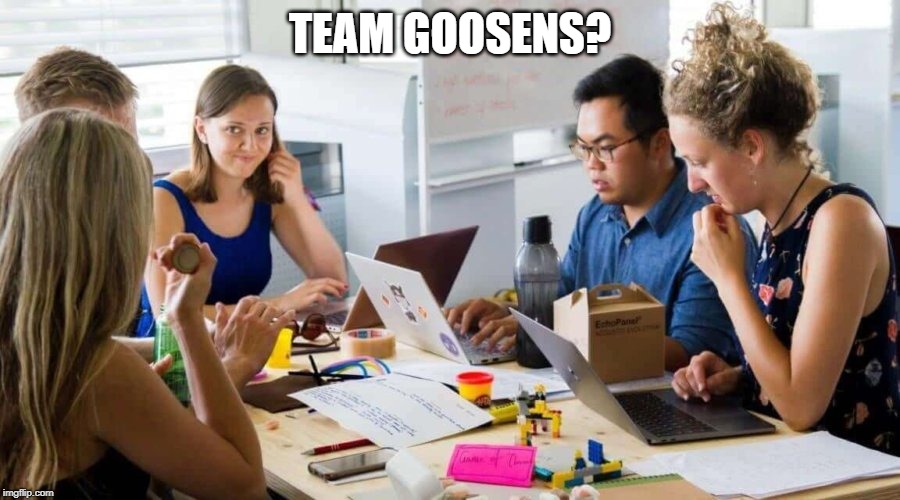 TEAM GOOSENS? | made w/ Imgflip meme maker