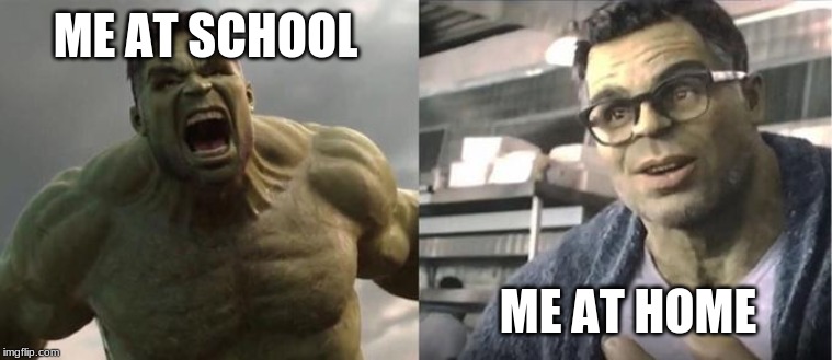 Angry Hulk VS Civil Hulk | ME AT SCHOOL; ME AT HOME | image tagged in angry hulk vs civil hulk | made w/ Imgflip meme maker