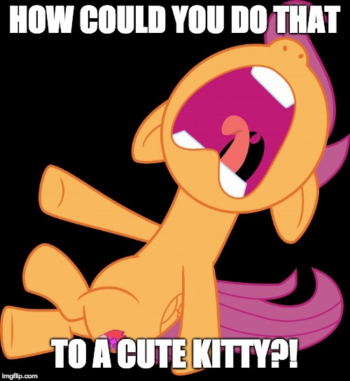 Frightened Scootaloo | HOW COULD YOU DO THAT TO A CUTE KITTY?! | image tagged in frightened scootaloo | made w/ Imgflip meme maker
