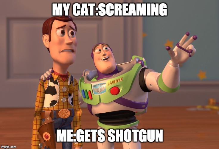 X, X Everywhere Meme | MY CAT:SCREAMING; ME:GETS SHOTGUN | image tagged in memes,x x everywhere | made w/ Imgflip meme maker
