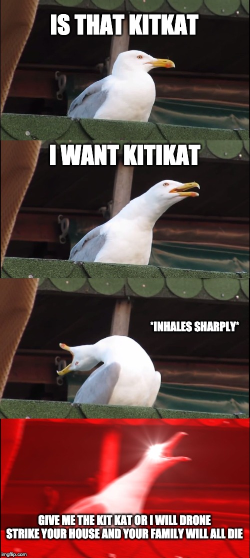 Inhaling Seagull Meme | IS THAT KITKAT; I WANT KITIKAT; *INHALES SHARPLY*; GIVE ME THE KIT KAT OR I WILL DRONE STRIKE YOUR HOUSE AND YOUR FAMILY WILL ALL DIE | image tagged in memes,inhaling seagull | made w/ Imgflip meme maker