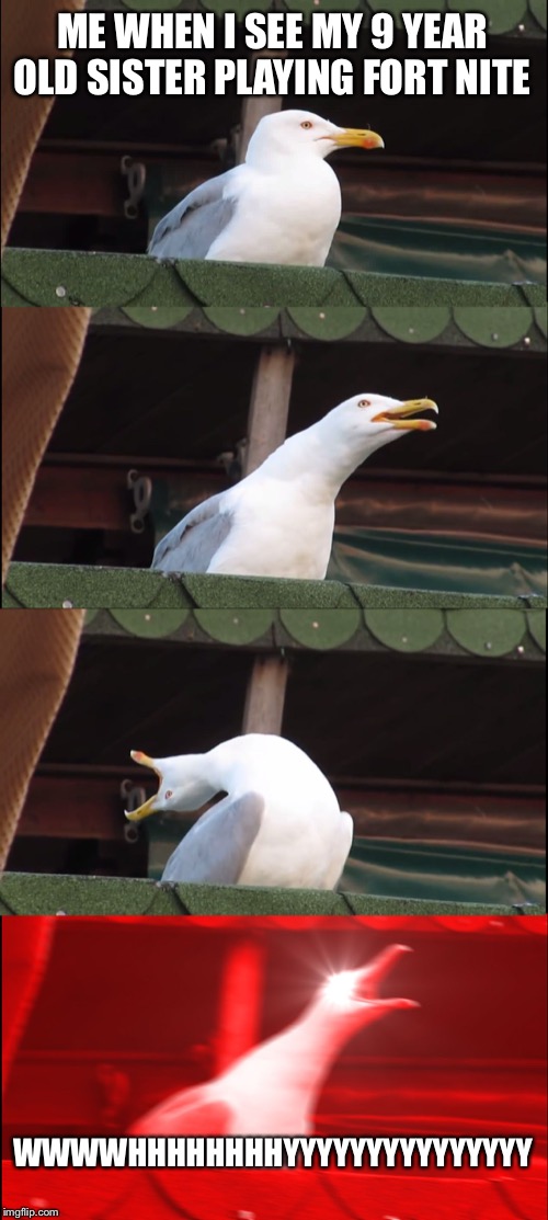Inhaling Seagull Meme |  ME WHEN I SEE MY 9 YEAR OLD SISTER PLAYING FORT NITE; WWWWHHHHHHHHYYYYYYYYYYYYYYY | image tagged in memes,inhaling seagull | made w/ Imgflip meme maker