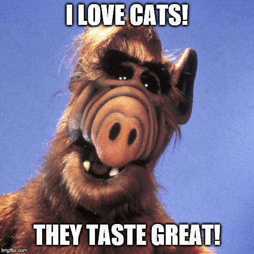 Alf  | I LOVE CATS! THEY TASTE GREAT! | image tagged in alf,cat,i love cats,they taste great | made w/ Imgflip meme maker