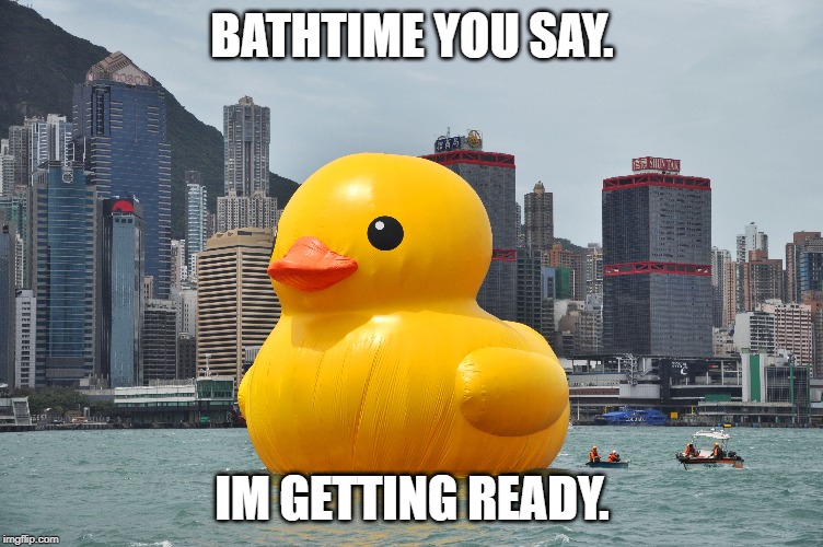 Bathtime | BATHTIME YOU SAY. IM GETTING READY. | image tagged in funny,duck,cute,bath,bathtime,bathroom | made w/ Imgflip meme maker