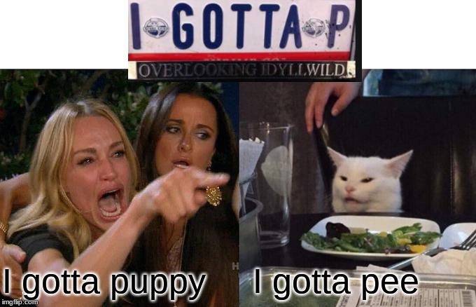 Woman Yelling At Cat Meme | I gotta puppy; I gotta pee | image tagged in memes,woman yelling at cat | made w/ Imgflip meme maker
