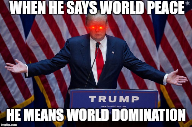Donald Trump | WHEN HE SAYS WORLD PEACE; HE MEANS WORLD DOMINATION | image tagged in donald trump | made w/ Imgflip meme maker